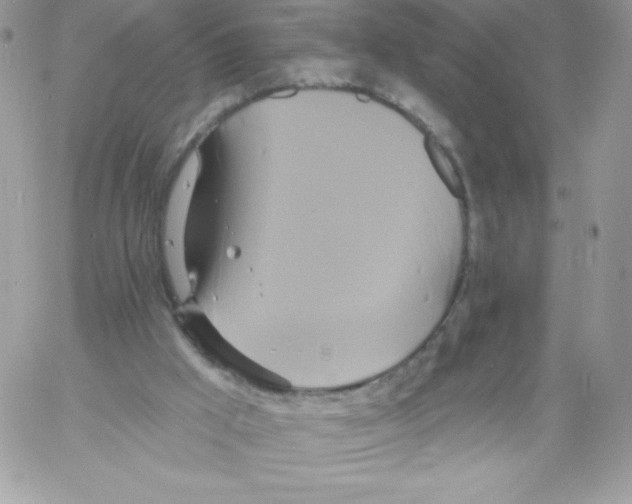 X0000061750009200512302249