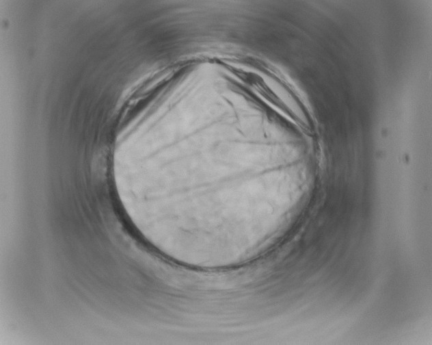 X0000061750010200512302249