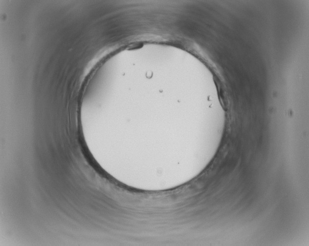 X0000061750011200512302249