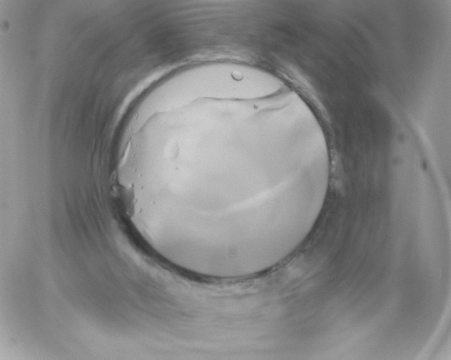 X0000061750012200512302249