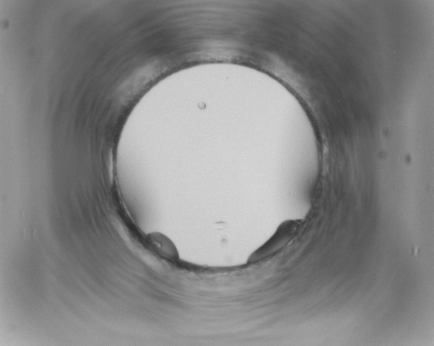 X0000061750013200512302249