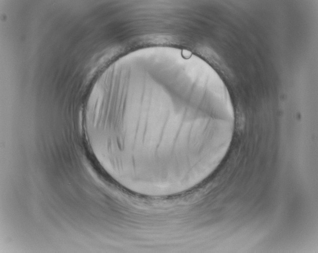 X0000061750014200512302249