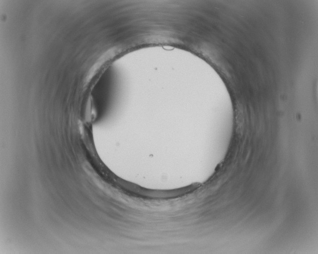 X0000061750015200512302249