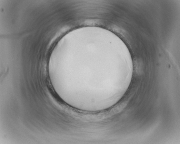 X0000061750016200512302249