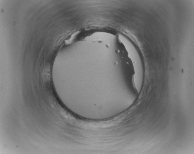 X0000061750017200512302249