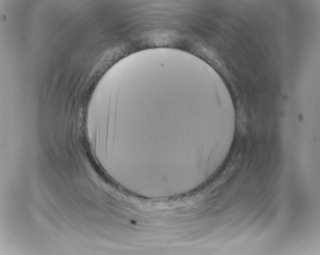 X0000061750018200512302249