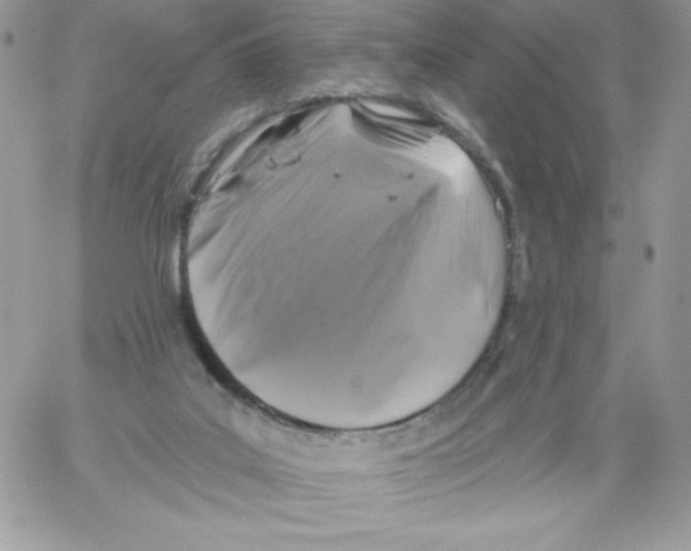 X0000061750019200512302249