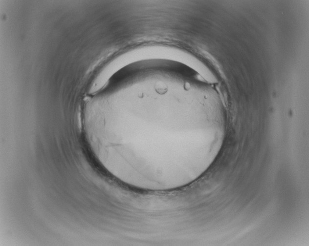 X0000061750020200512302249