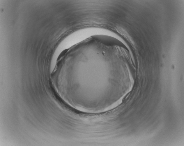 X0000061750021200512302249