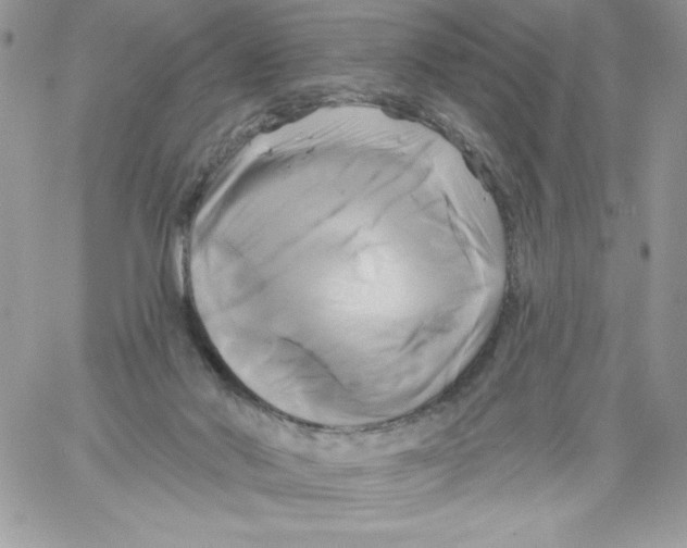 X0000061750022200512302249