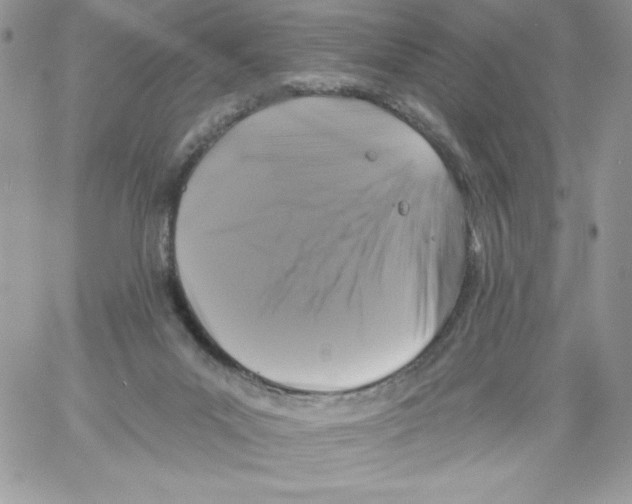 X0000061750023200512302249