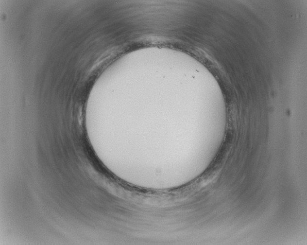 X0000061750024200512302249