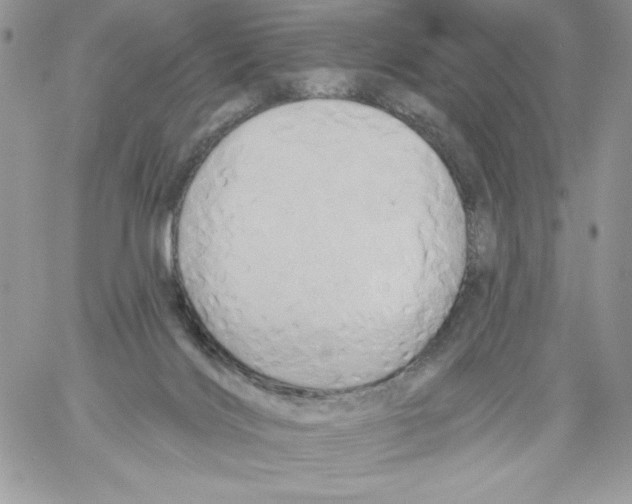 X0000061750028200512302249