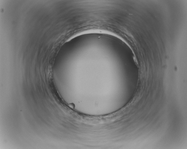 X0000061750029200512302249