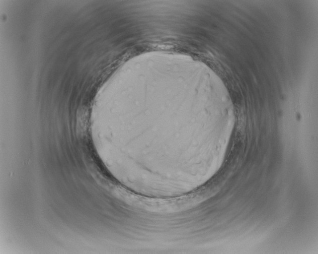 X0000061750030200512302249