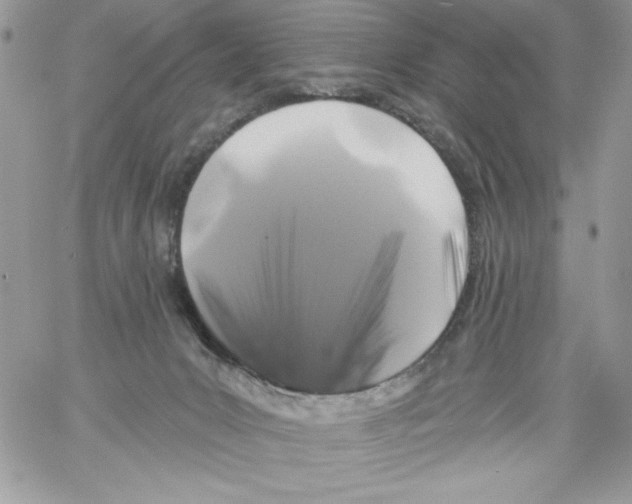 X0000061750031200512302249