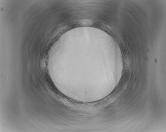 X0000061750032200512302249