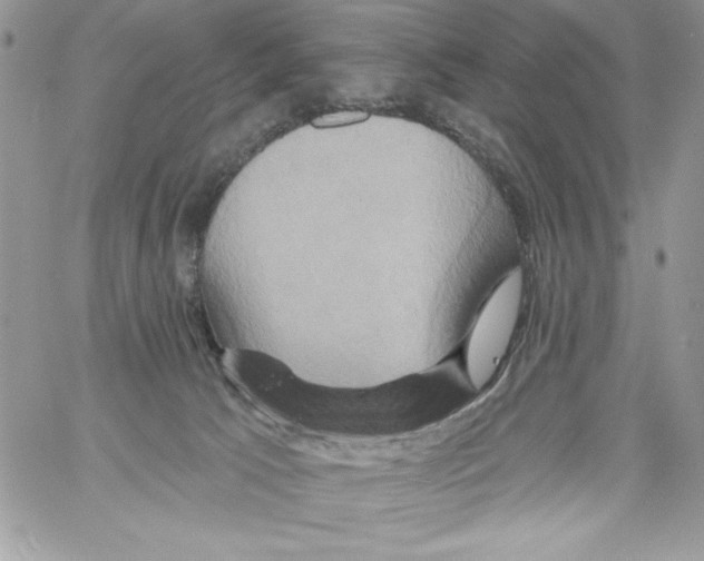 X0000061750033200512302249