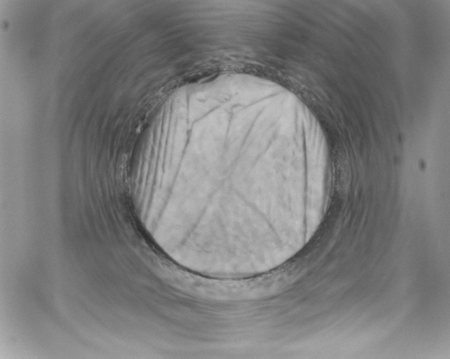 X0000061750034200512302249