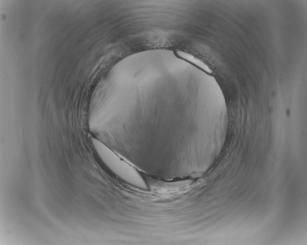 X0000061750035200512302249