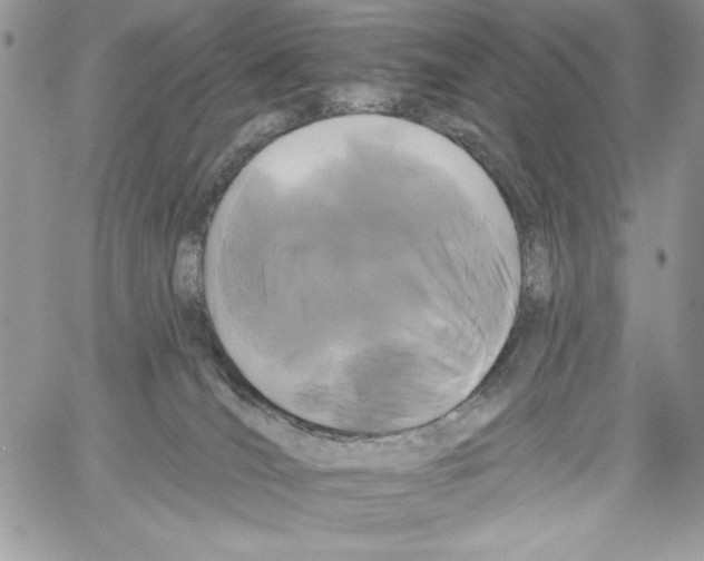 X0000061750036200512302249