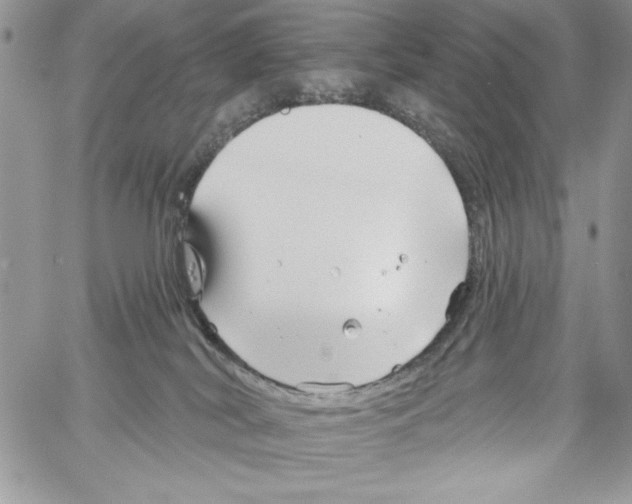 X0000061750038200512302249