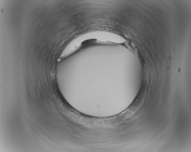 X0000061750040200512302249