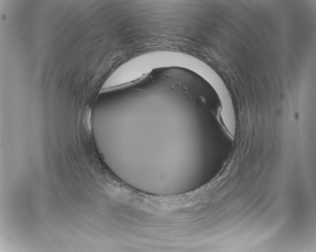 X0000061750041200512302249