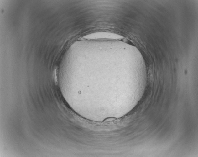 X0000061750042200512302249