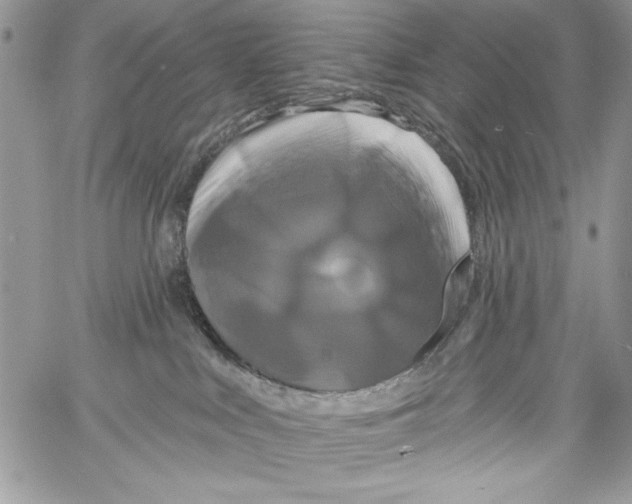 X0000061750043200512302249