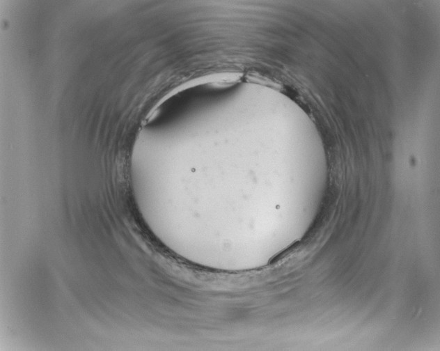 X0000061750044200512302249