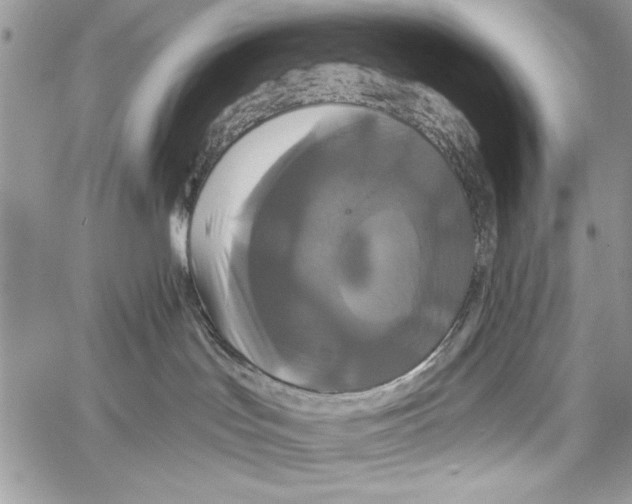 X0000061750047200512302249