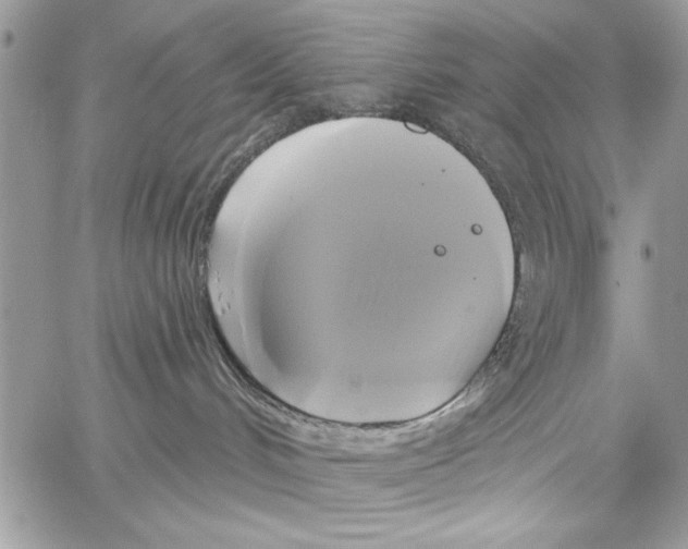 X0000061750048200512302249