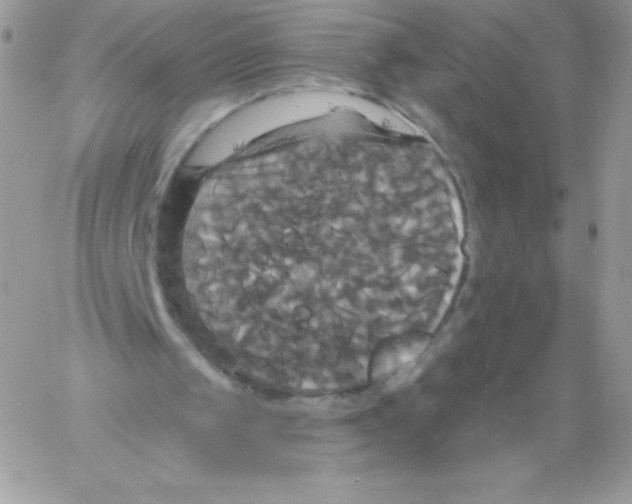 X0000061750049200512302248