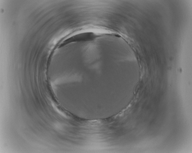 X0000061750050200512302248