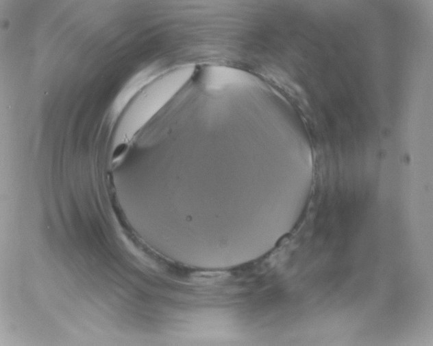 X0000061750051200512302248