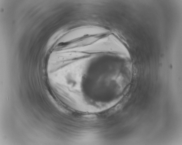 X0000061750053200512302248