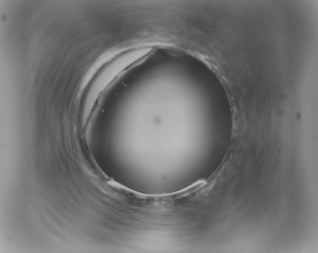 X0000061750056200512302248