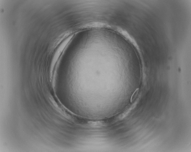 X0000061750057200512302248