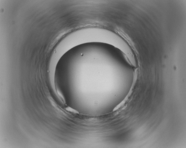 X0000061750058200512302248