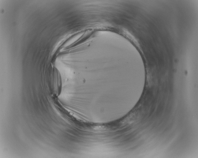 X0000061750059200512302248