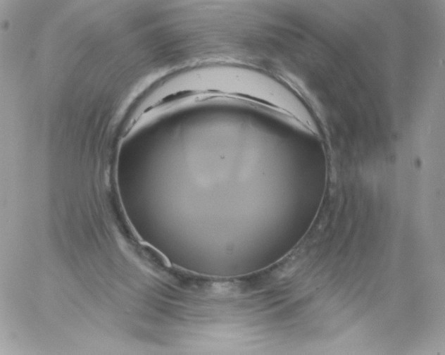 X0000061750060200512302248