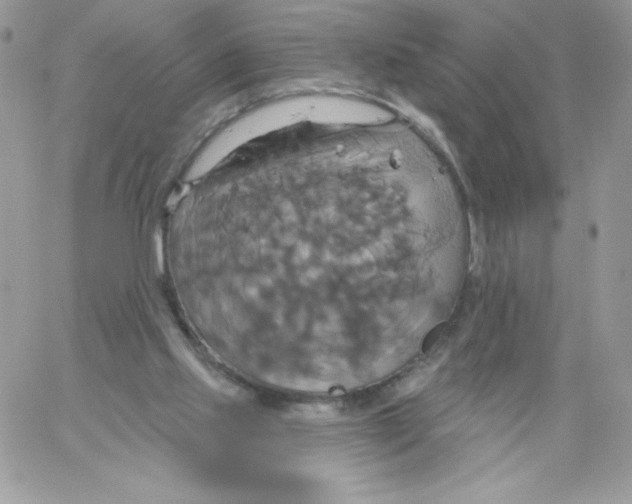 X0000061750061200512302248