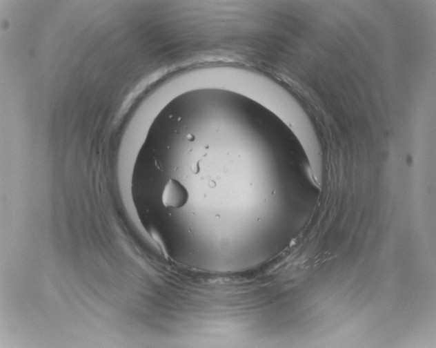 X0000061750064200512302248