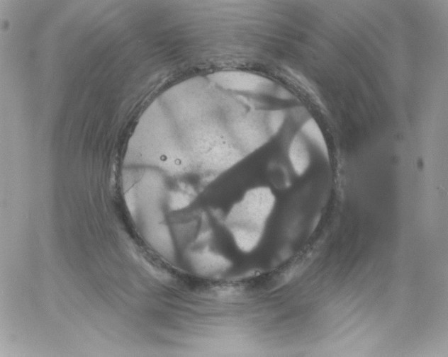 X0000061750065200512302248