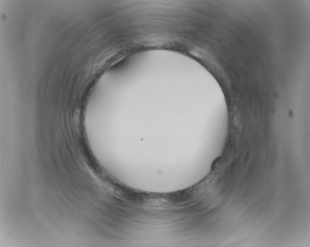 X0000061750066200512302248