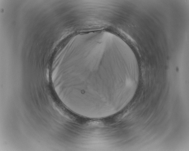 X0000061750067200512302248