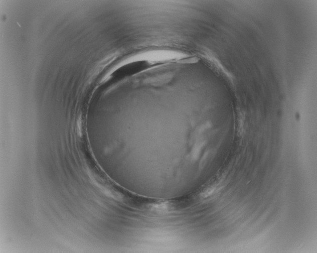 X0000061750068200512302248