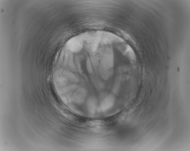 X0000061750069200512302248