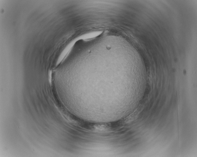 X0000061750070200512302248